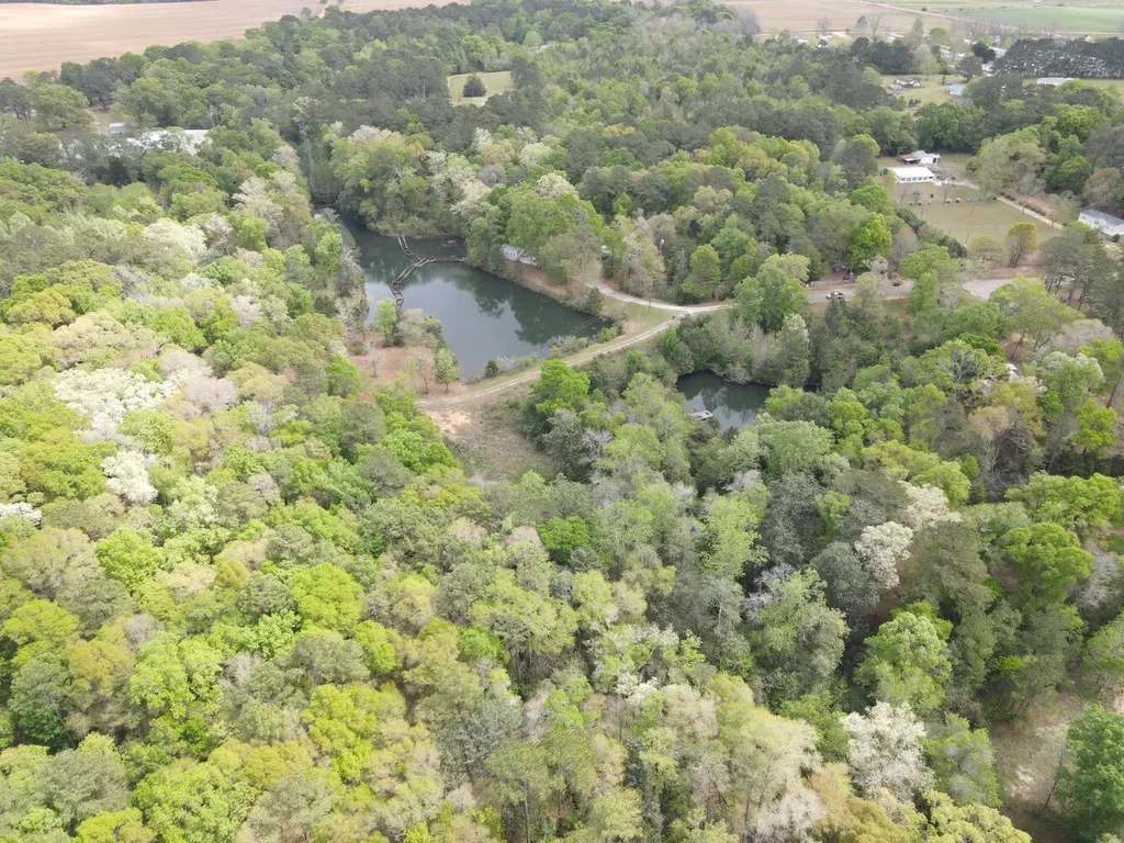 360 Sherwood Trail Newton AL 36352