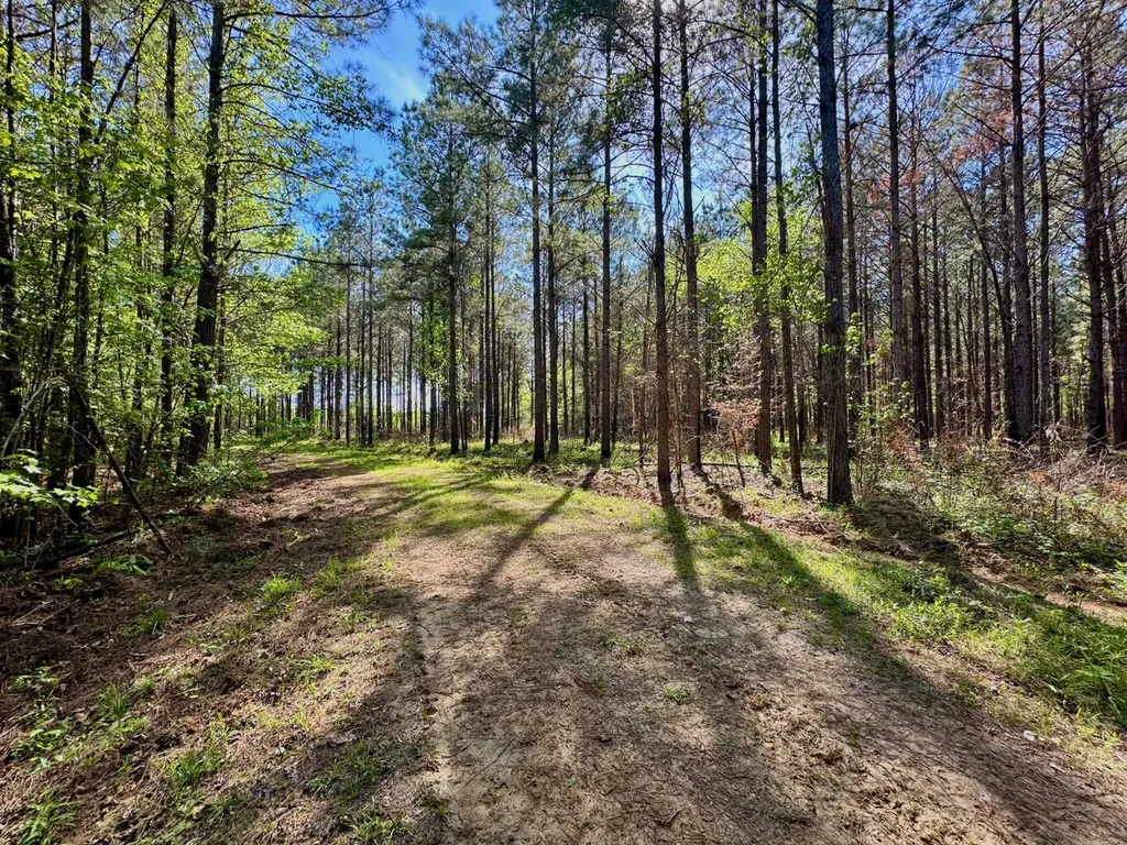 0 Pace Landing Road Coatopa AL 35470