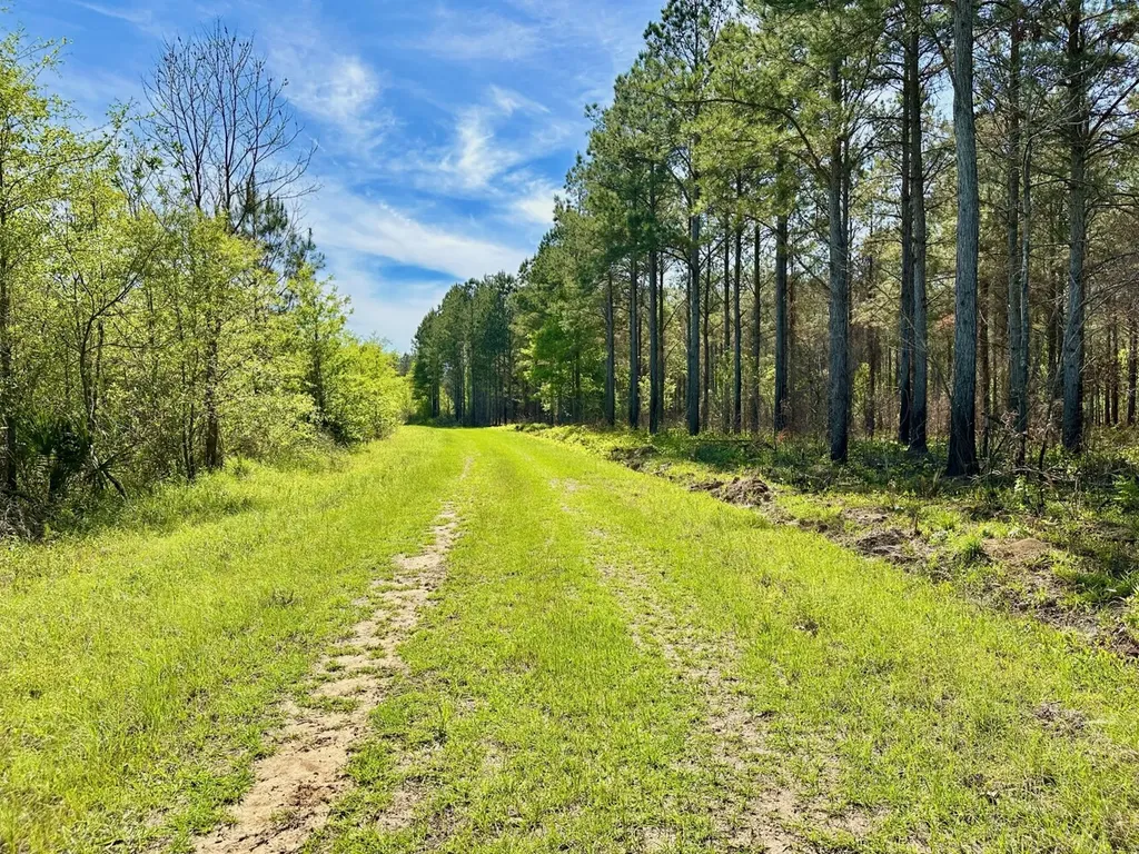 0 Pace Landing Road Coatopa AL 35470