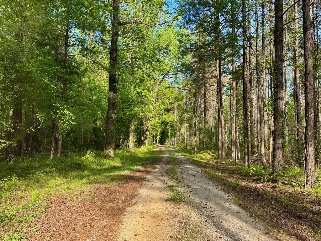 0 Pace Landing Road Coatopa AL 35470