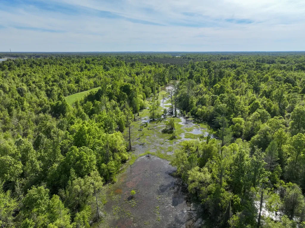 0 Pace Landing Road Coatopa AL 35470