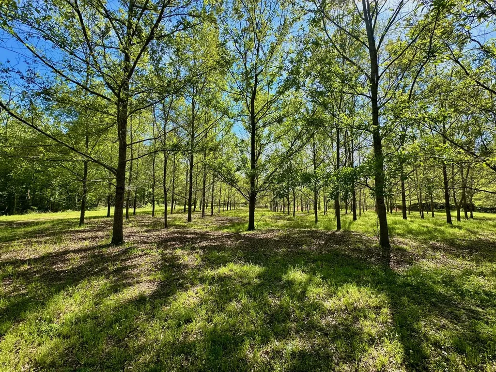 0 Pace Landing Road Coatopa AL 35470
