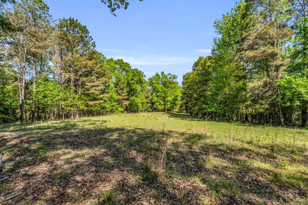805 Dick Allen Road Vernon AL 35592