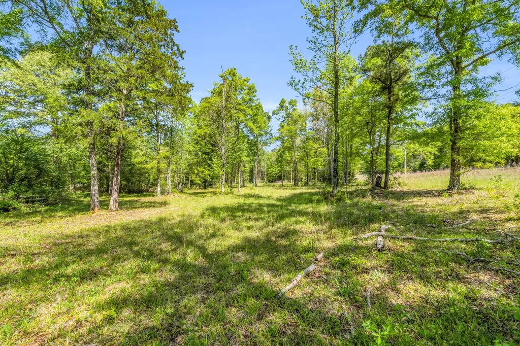 805 Dick Allen Road Vernon AL 35592
