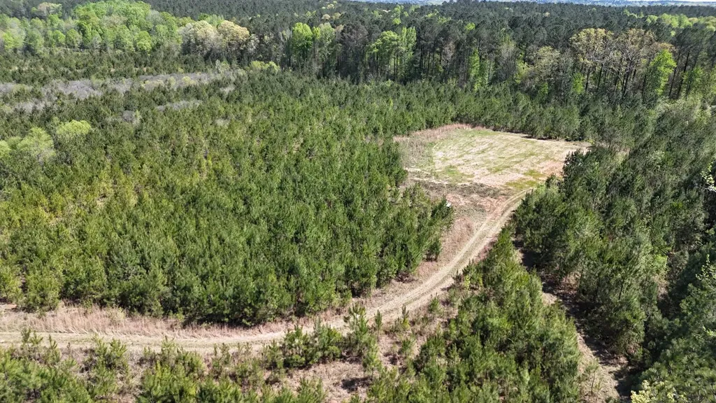 13215 Al Highway 77 Roanoke AL 36274