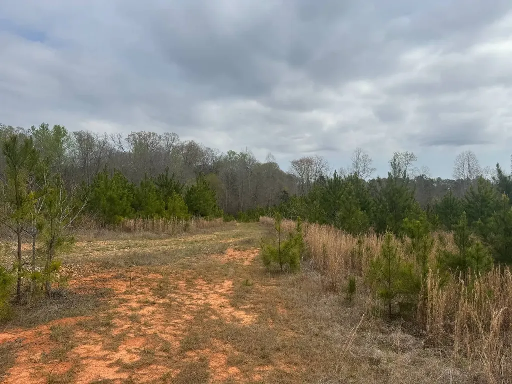 13215 Al Highway 77 Roanoke AL 36274