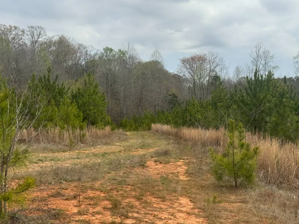 13215 Al Highway 77 Roanoke AL 36274