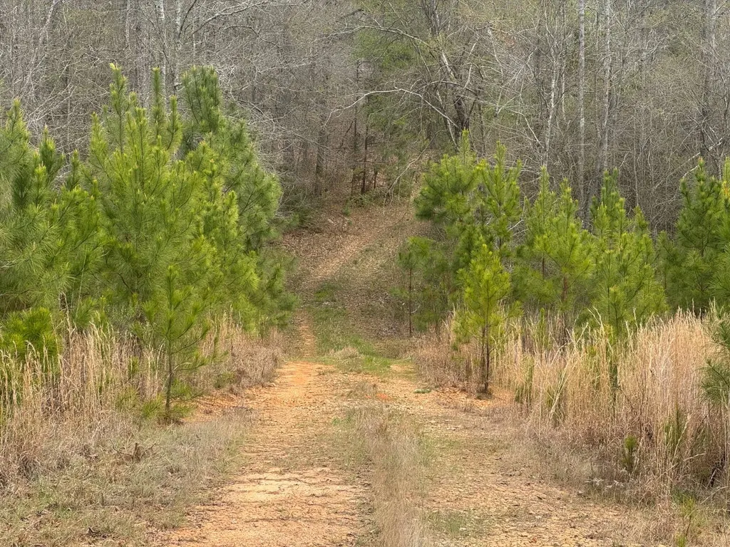 13215 Al Highway 77 Roanoke AL 36274