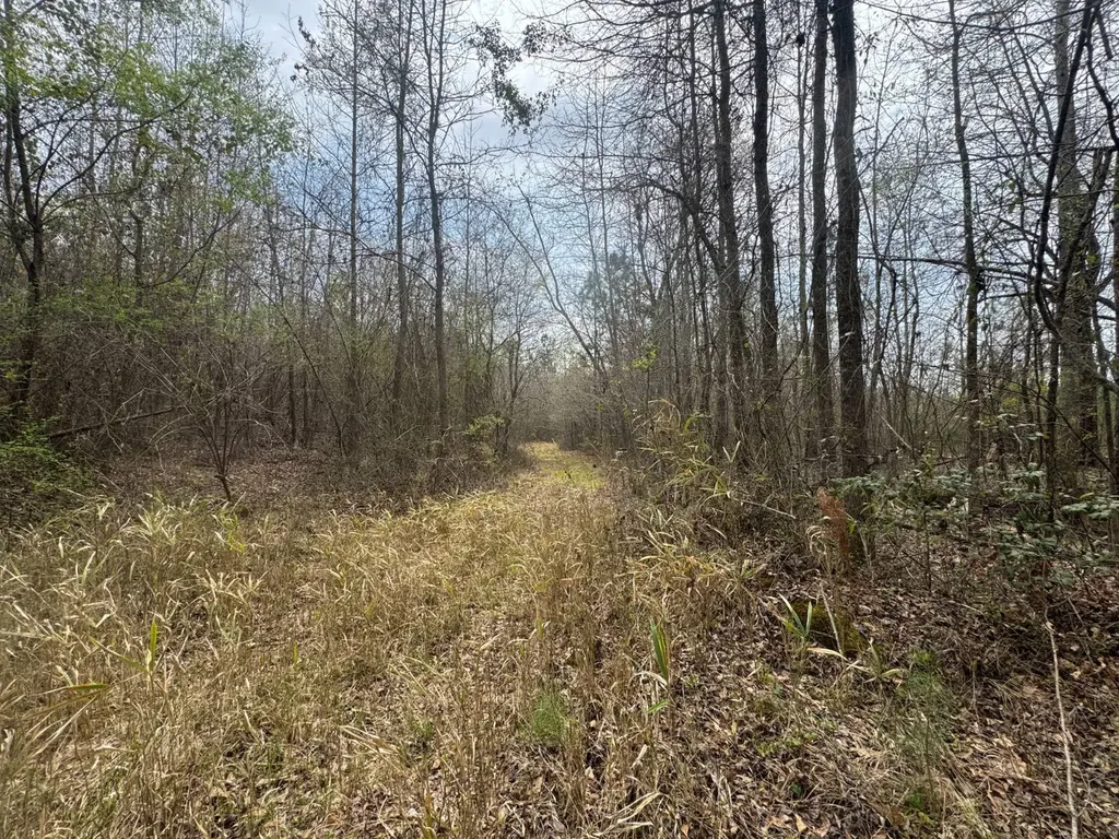 13215 Al Highway 77 Roanoke AL 36274