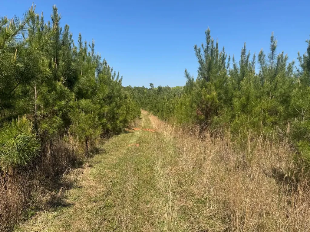 13215 Al Highway 77 Roanoke AL 36274