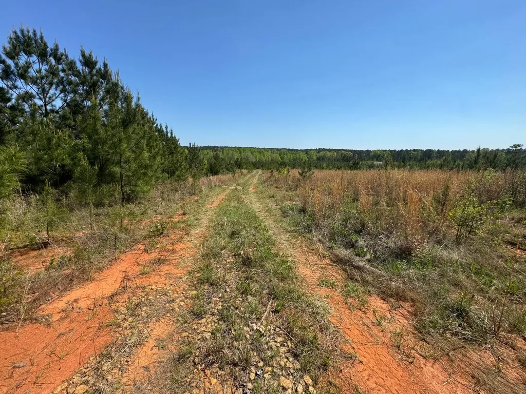 13215 Al Highway 77 Roanoke AL 36274