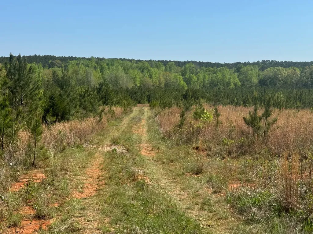 13215 Al Highway 77 Roanoke AL 36274