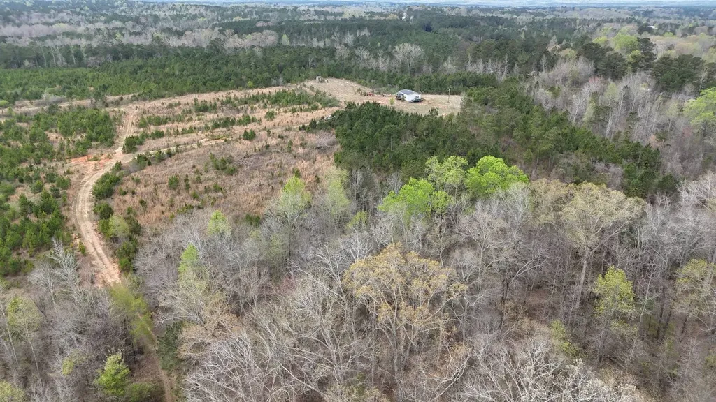 13215 Al Highway 77 Roanoke AL 36274