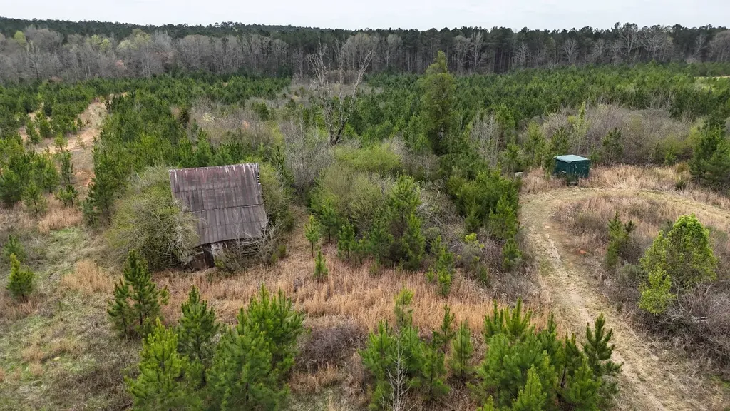13215 Al Highway 77 Roanoke AL 36274