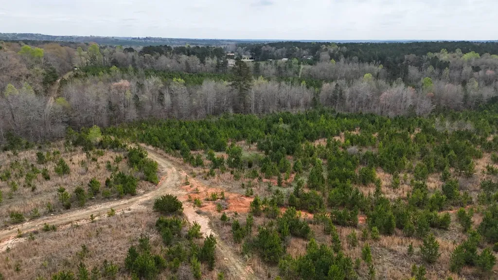 13215 Al Highway 77 Roanoke AL 36274