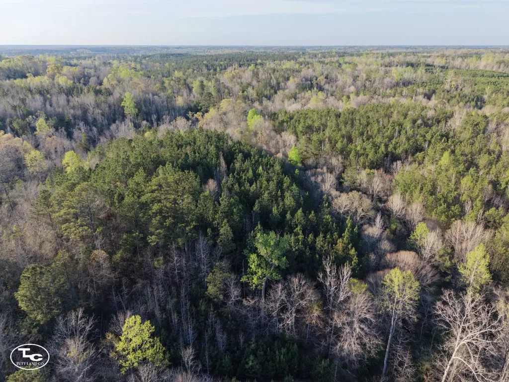 0 Campbell Landing Road Thomasville AL 36784