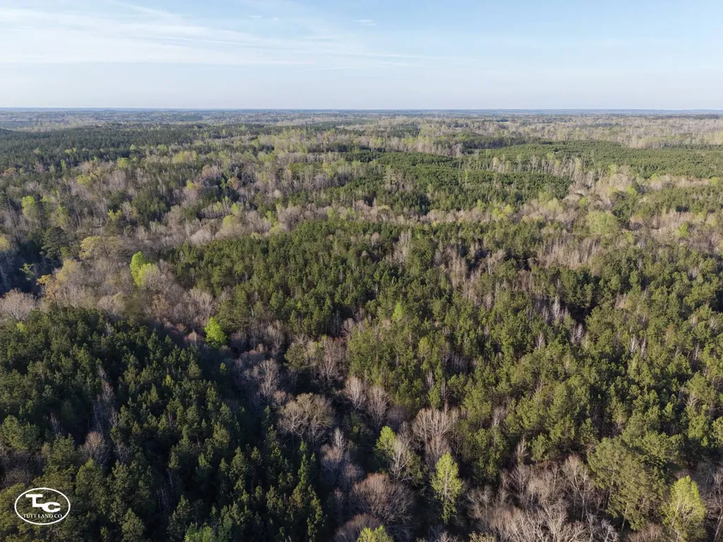 0 Campbell Landing Road Thomasville AL 36784