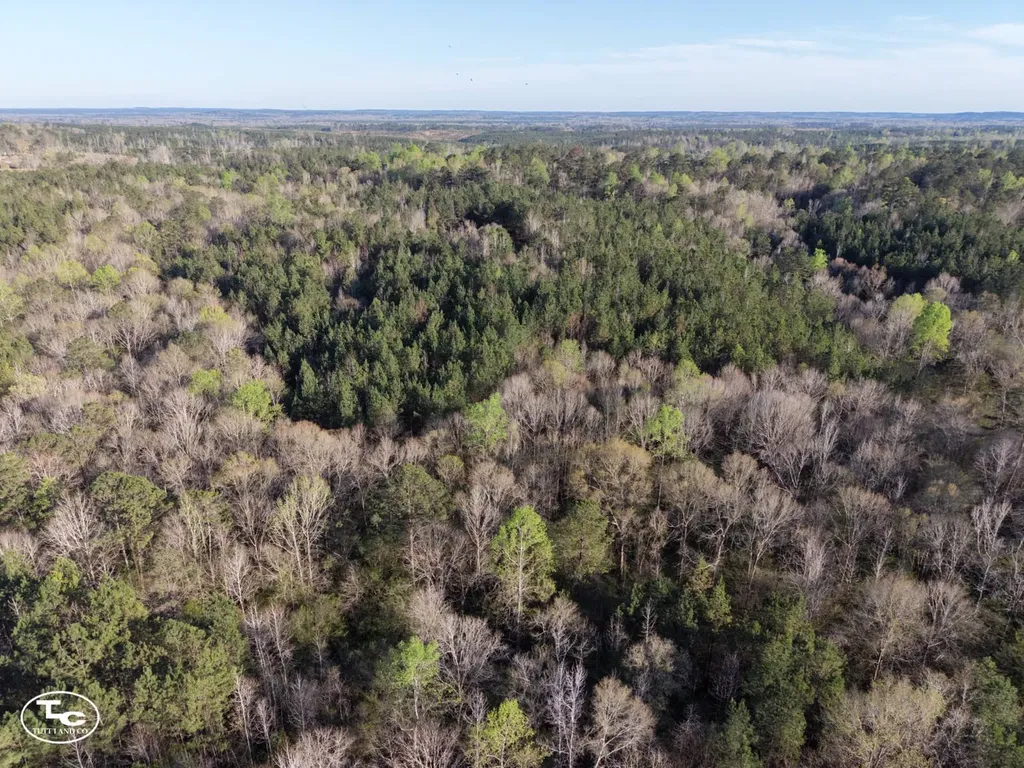 0 Campbell Landing Road Thomasville AL 36784
