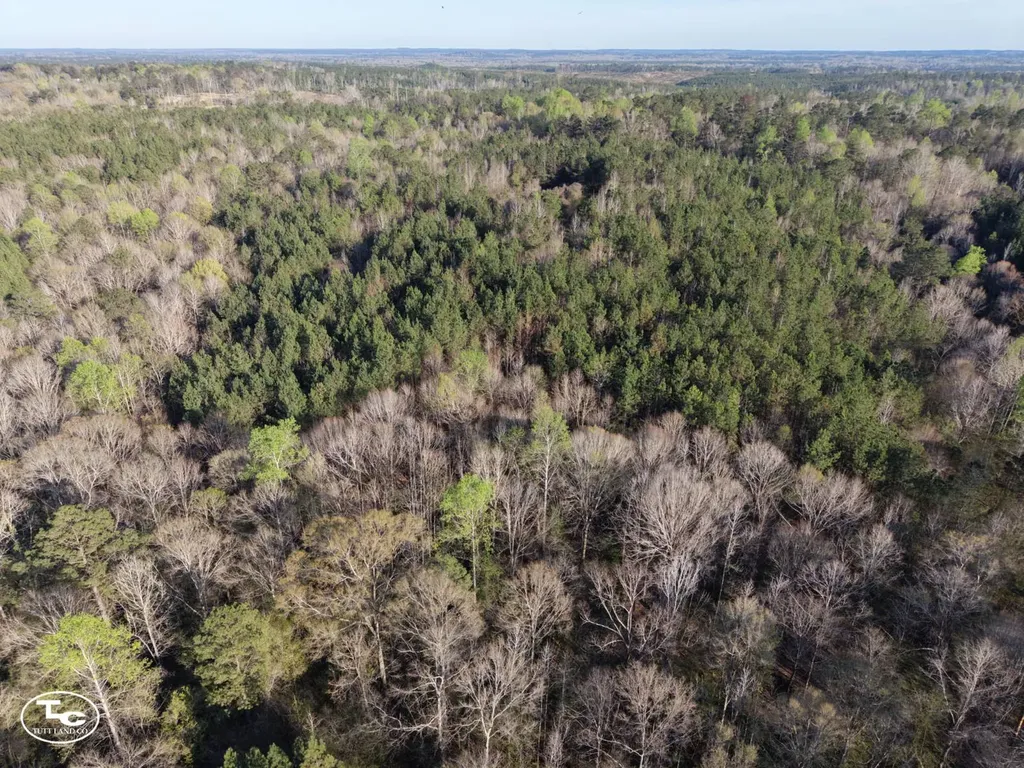 0 Campbell Landing Road Thomasville AL 36784