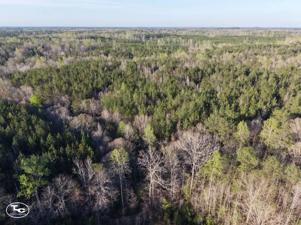 0 Campbell Landing Road Thomasville AL 36784