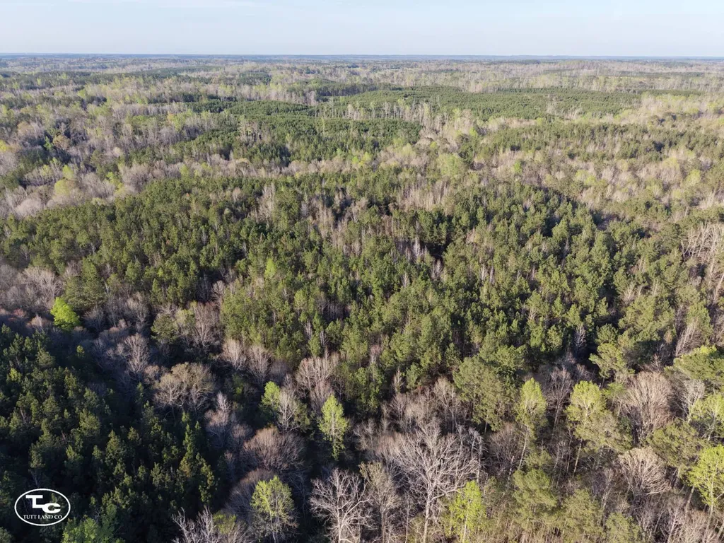 0 Campbell Landing Road Thomasville AL 36784
