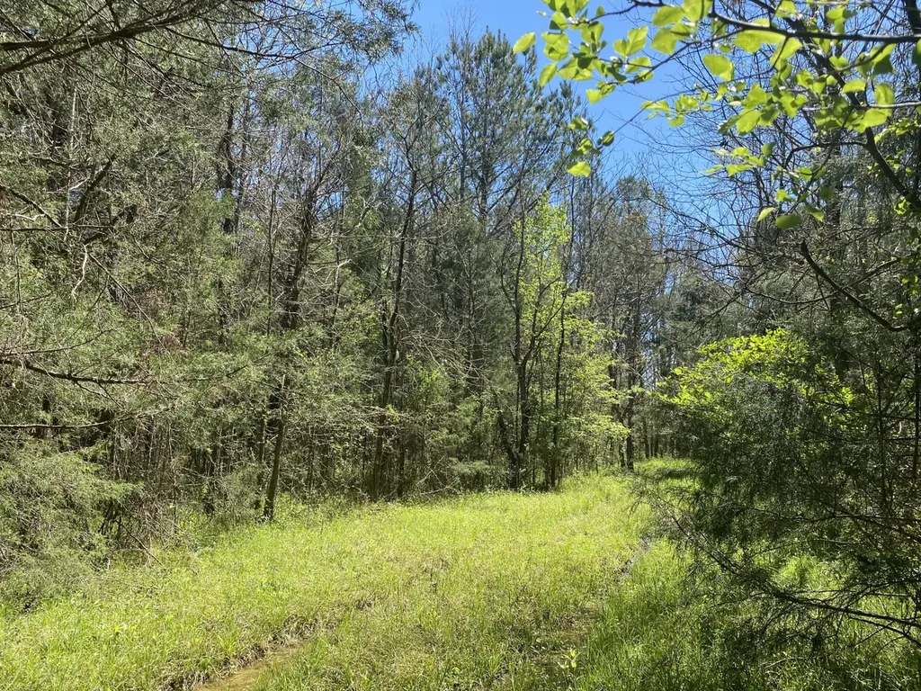 800 Mitchell Young Road Montgomery AL 36108