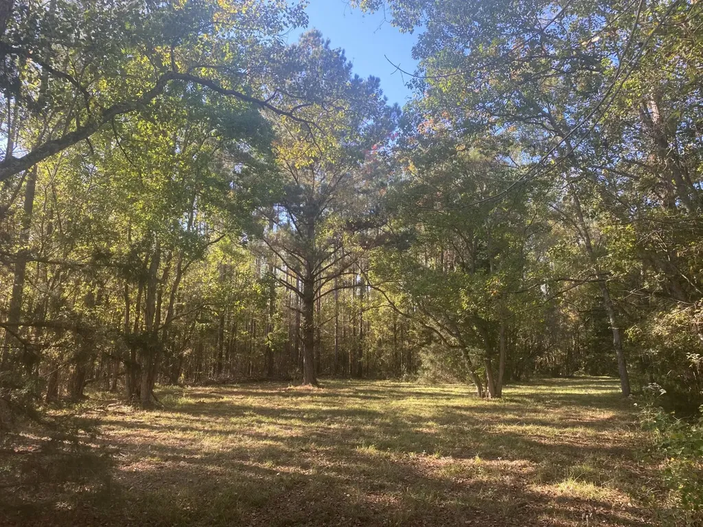 800 Mitchell Young Road Montgomery AL 36108