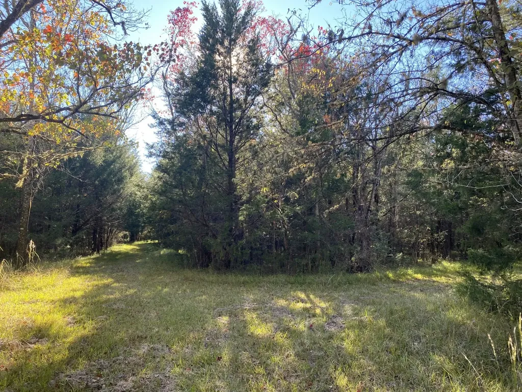 800 Mitchell Young Road Montgomery AL 36108