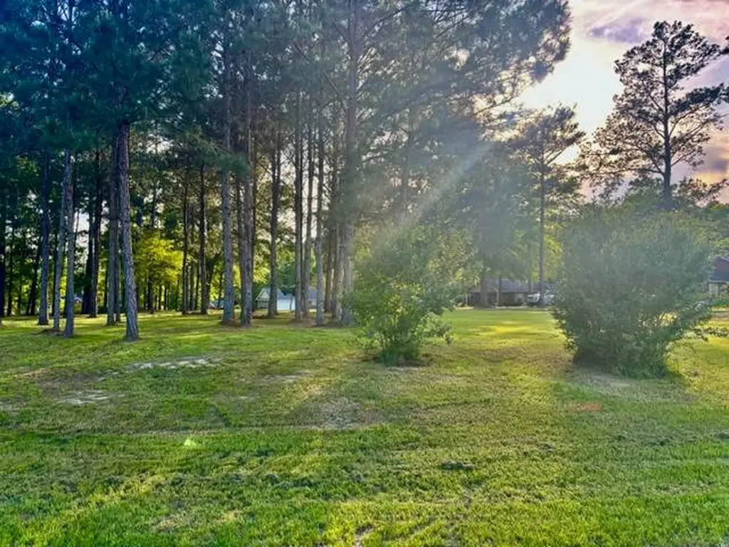 0 Daisy Lane Andalusia AL 36420