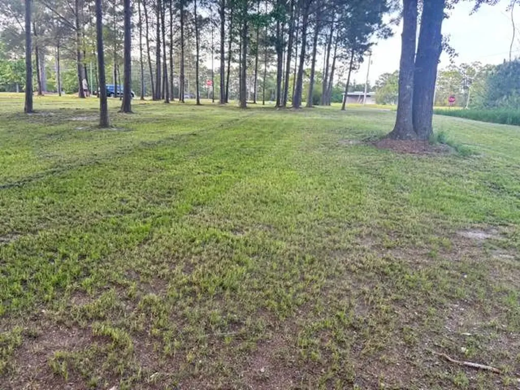 0 Daisy Lane Andalusia AL 36420