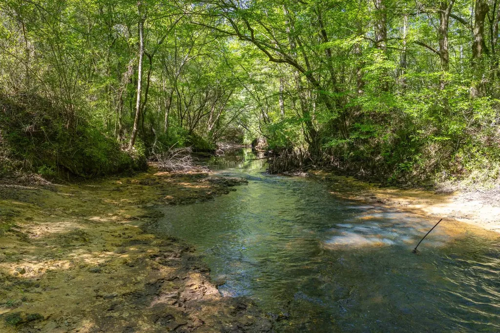 165+/- Acres Harrison Road Kinston AL 36453