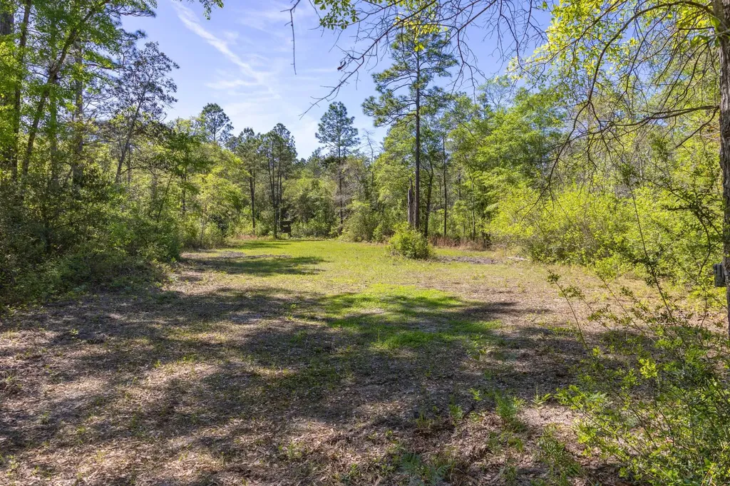 165+/- Acres Harrison Road Kinston AL 36453