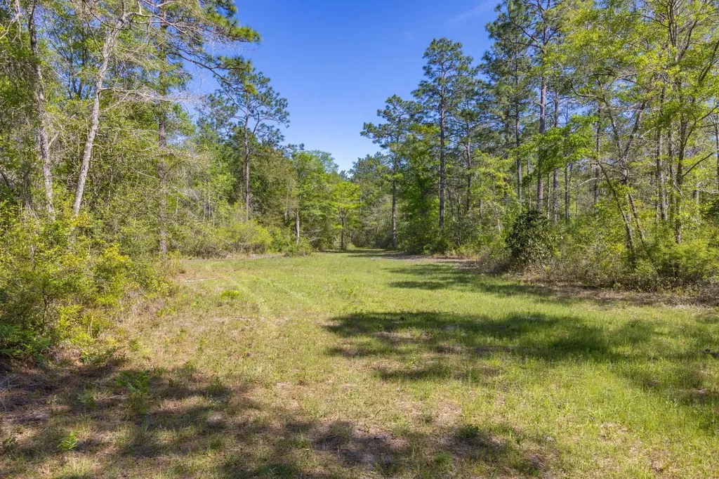 165+/- Acres Harrison Road Kinston AL 36453