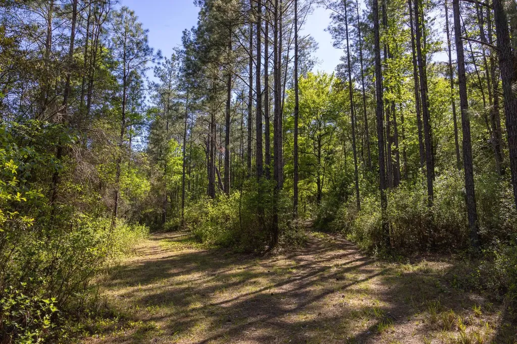 165+/- Acres Harrison Road Kinston AL 36453