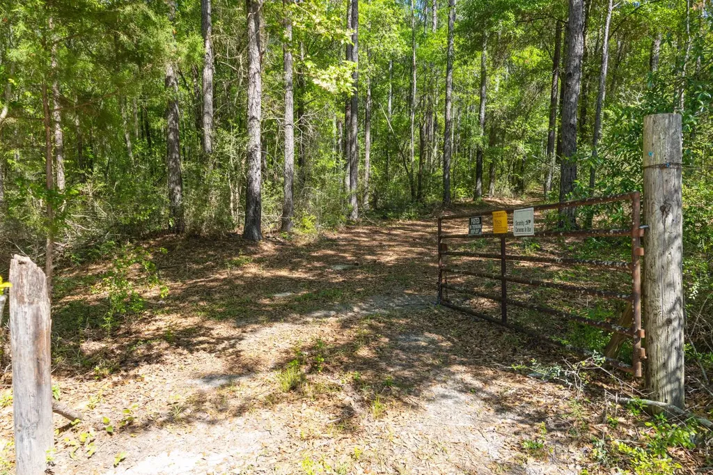 165+/- Acres Harrison Road Kinston AL 36453