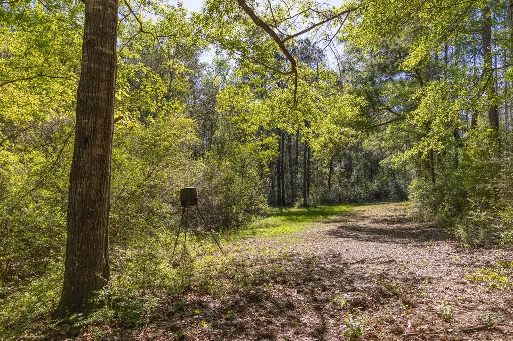 165+/- Acres Harrison Road Kinston AL 36453