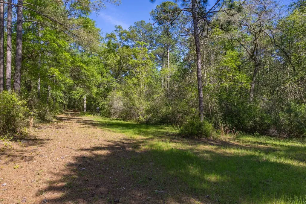 165+/- Acres Harrison Road Kinston AL 36453