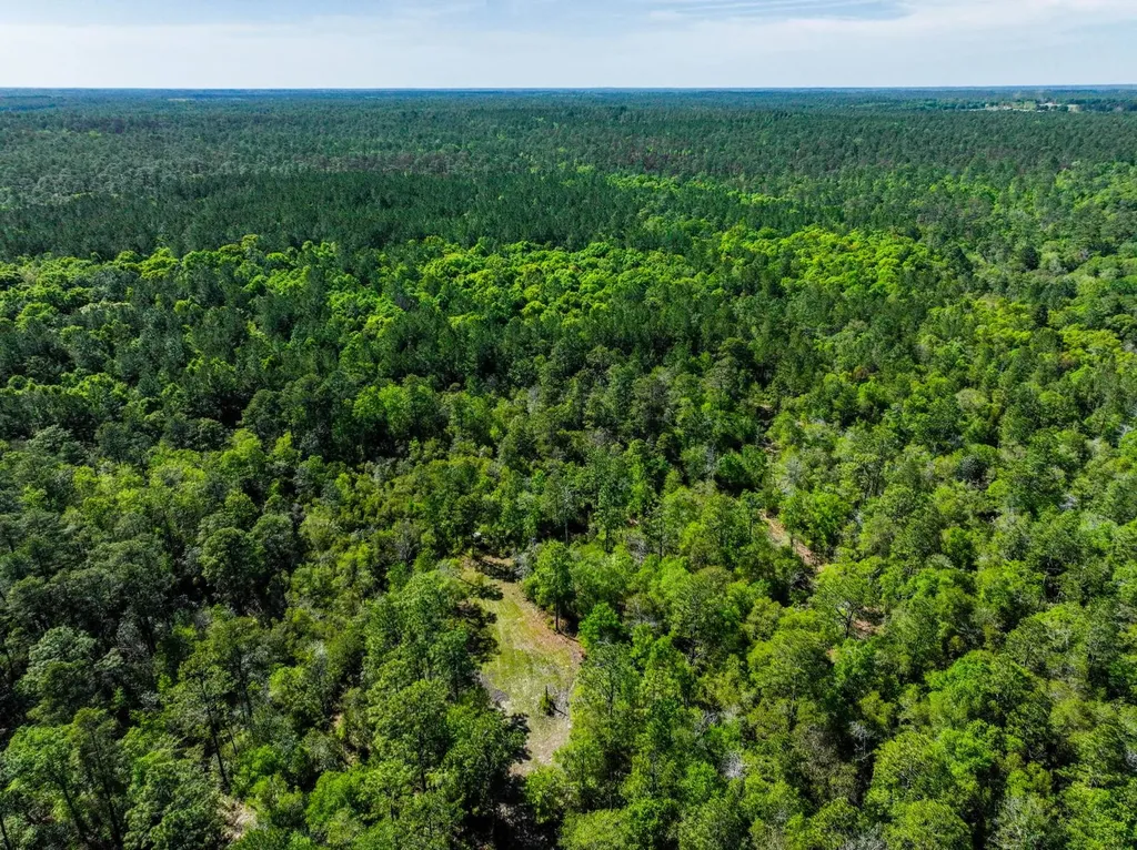 165+/- Acres Harrison Road Kinston AL 36453