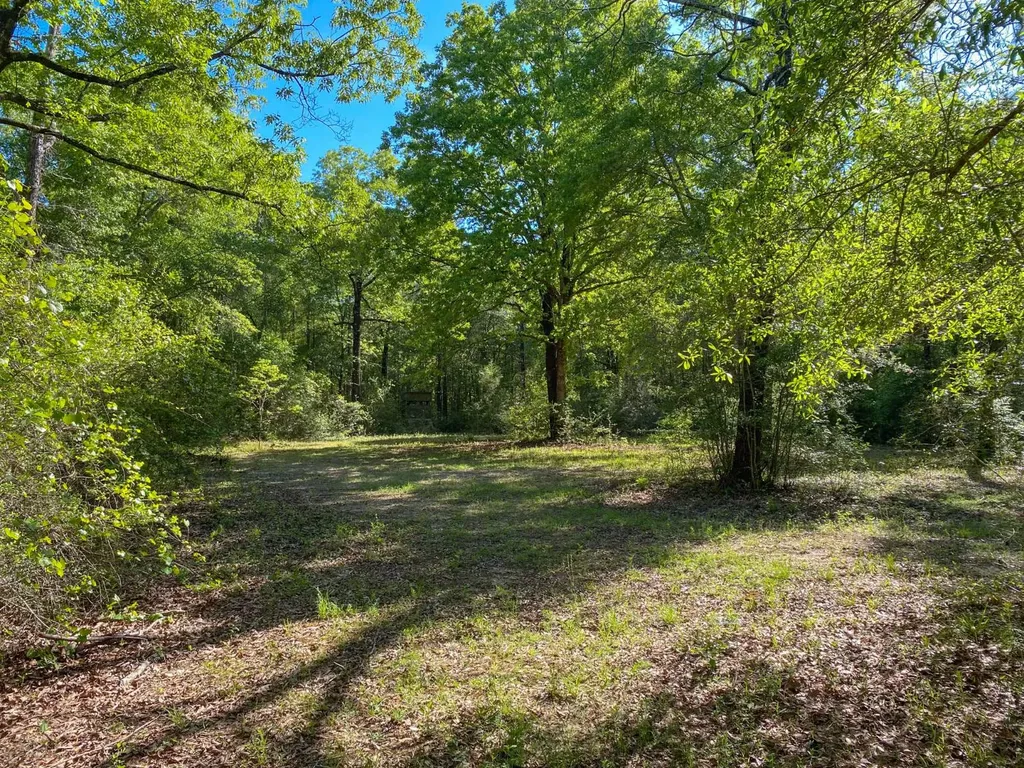 165+/- Acres Harrison Road Kinston AL 36453