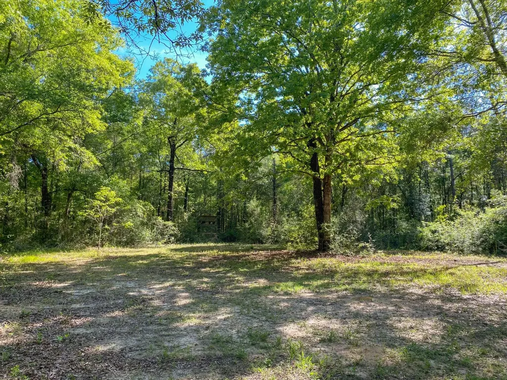 165+/- Acres Harrison Road Kinston AL 36453