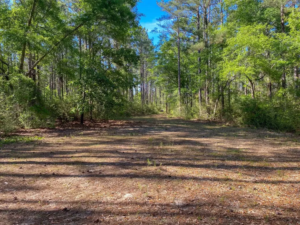 165+/- Acres Harrison Road Kinston AL 36453
