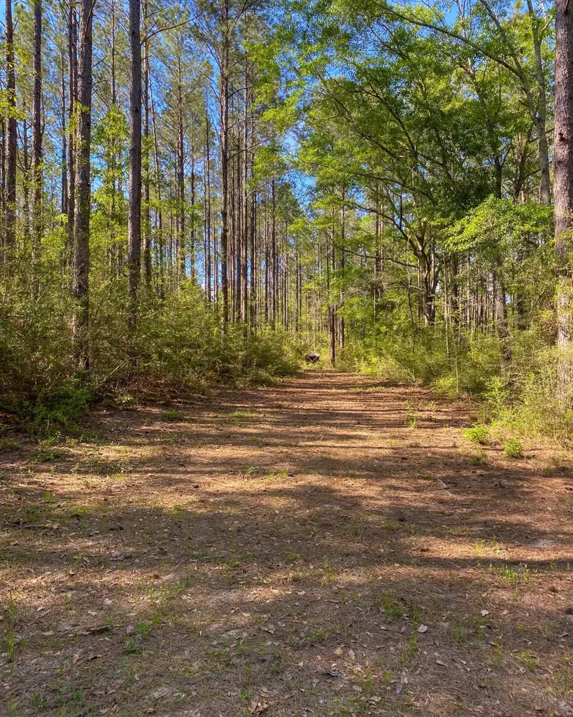 165+/- Acres Harrison Road Kinston AL 36453
