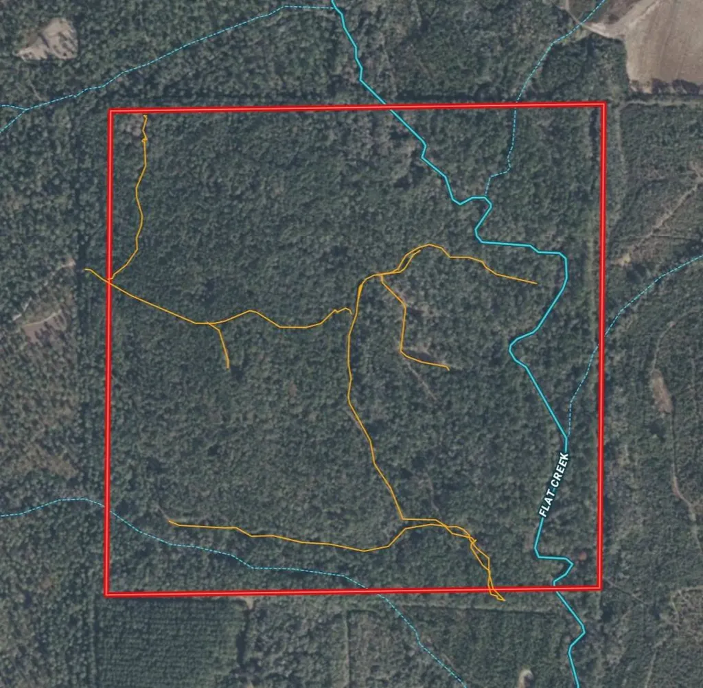 165+/- Acres Harrison Road Kinston AL 36453