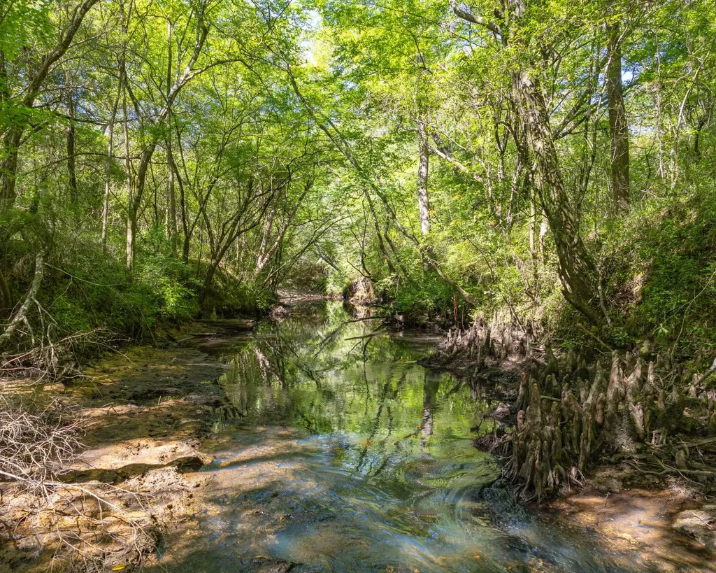 165+/- Acres Harrison Road Kinston AL 36453