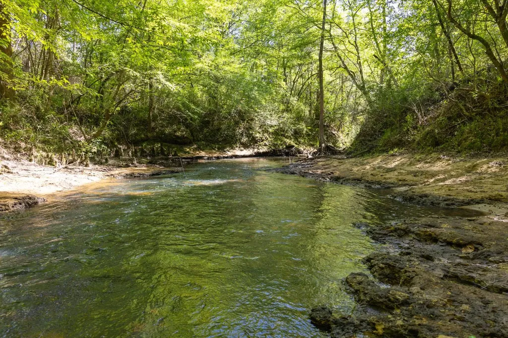 165+/- Acres Harrison Road Kinston AL 36453
