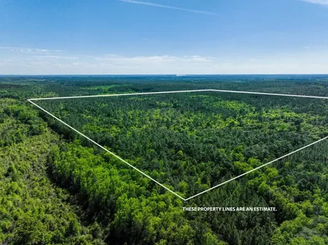 165+/- Acres Harrison Road Kinston AL 36453