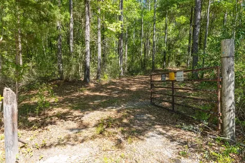 165+/- Acres Harrison Road Kinston AL 36453