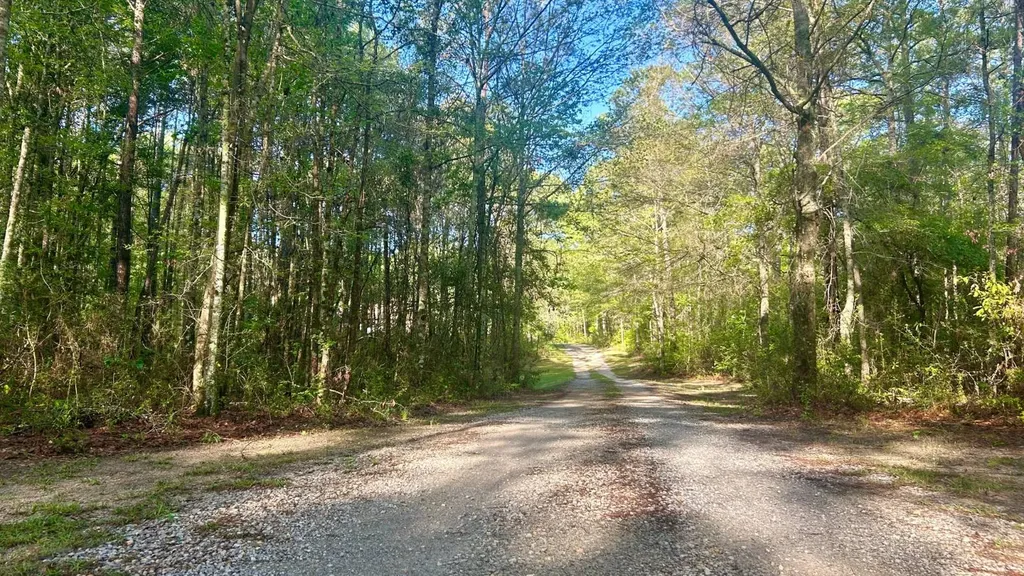 26953 Harmony Church Road Andalusia AL 36421
