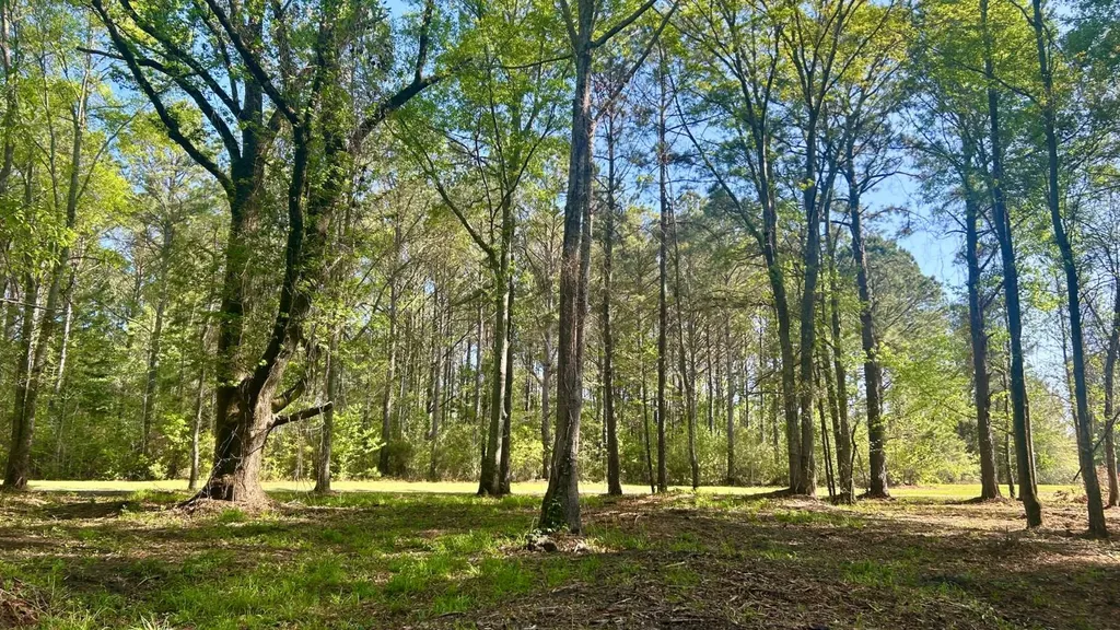 26953 Harmony Church Road Andalusia AL 36421