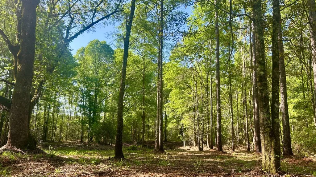 26953 Harmony Church Road Andalusia AL 36421